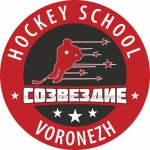 Sozvezdie Voronezh logo