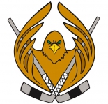 Stockholm Falcons IF logo