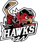 Streatham Blackhawks logo