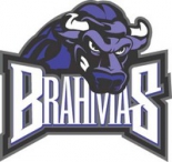 Fort Worth Brahmas logo