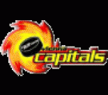 Vienna Capitals Silver logo