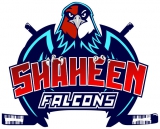 Abu Dhabi Shaheen Falcons logo