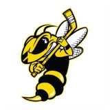 Battle Creek Rumble Bees logo