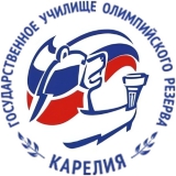 SKA-Kareliya Kondopoga	 logo