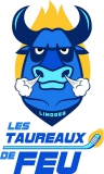 ASPTT Limoges logo