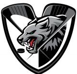 CSM Odorheiu Secuiesc logo