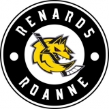 CH Roanne logo