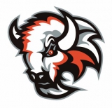 Basingstoke Bison logo