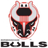 Birmingham Bulls logo