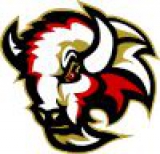 Basingstoke Bison logo