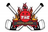 Cardiff Devils ENL 2 logo