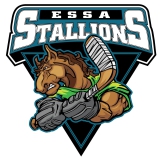 Severn Stallions logo