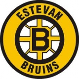 Estevan Bruins logo