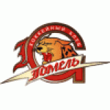 HK Gomel logo