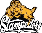 Hardisty Stampeders logo