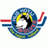 HYS Hokij KWM Racing logo