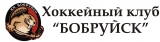 HK Bobruisk logo