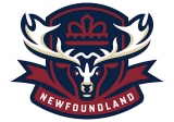 Newfoundland Regiment logo