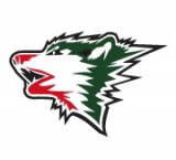 Oman Timberwolves logo