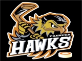 Pachuca Hawks logo