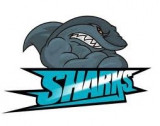 Solway Sharks logo