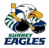 Surrey Eagles logo