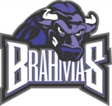 Fort Worth Brahmas logo