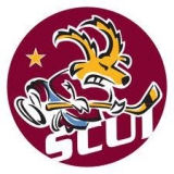 SC Unterseen-Interlaken logo