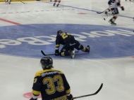 Strong start for HV71 - But will they continue