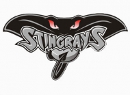 Hull Stingrays bankruptcy