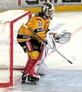 Perfect start for the reigning SHL champion