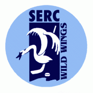 Back in Blue and white - Schwenningen returns to DEL