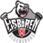 Eisbären Regensburg logo