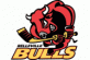 Belleville Bulls logo