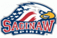 Saginaw Spirit logo