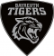 onesto Bayreuth Tigers logo