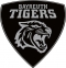 EHC Bayreuth Tigers logo