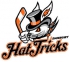 Danbury Hat Tricks logo