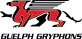 University of Guelph logo