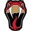 HC Venom logo
