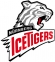 Nürnberg Ice Tigers logo
