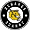 CH Roanne logo