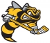 Sarnia Sting logo