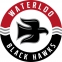 Waterloo Black Hawks logo