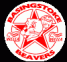 Basingstoke Beavers logo