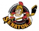 Binghamton Senators logo