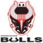 Birmingham Bulls (ECHL) logo