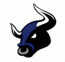 Bradford Bulls logo