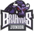Texas Jr. Brahmas logo