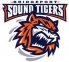 Bridgeport Sound Tigers logo